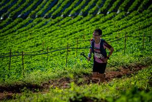 BIB: 
                            <button type="button" onclick="openModal(19160953)" class="btn btn-primary btn-sm float-right btn-popup" data-toggle="modal" data-target=".modal-high-quality">
                        <i class="fas fa-shopping-cart"></i> Add to Cart
                    </button>
                                            <button type="button" onclick="isThisMe(19160953, true)" class="btn btn-success btn-sm float-right btn-popup btn-isme hidden" data-toggle="tooltip" data-placement="bottom" title="นี่คือรูปของคุณใช่ไหม คลิกที่นี่เพื่อเอาเข้าอัลบั้ม">
                        <i class="fas fa-plus"></i> Add to album
                    </button>
                    <button type="button" onclick="isThisMe(19160953, false)" class="btn btn-warning btn-sm float-right btn-popup btn-isnotme hidden">
                        <i class="fas fa-ban"></i> Remove from album
                    </button>